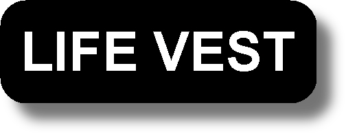 Life Vest